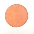 Leaf 2 – DIY Terracotta Fridge Magnet Kit