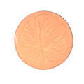 Leaf 3 – DIY Terracotta Fridge Magnet Kit