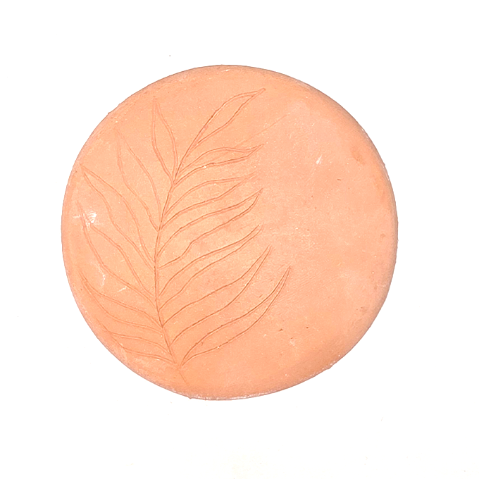 Feren – DIY Terracotta Fridge Magnet Kit