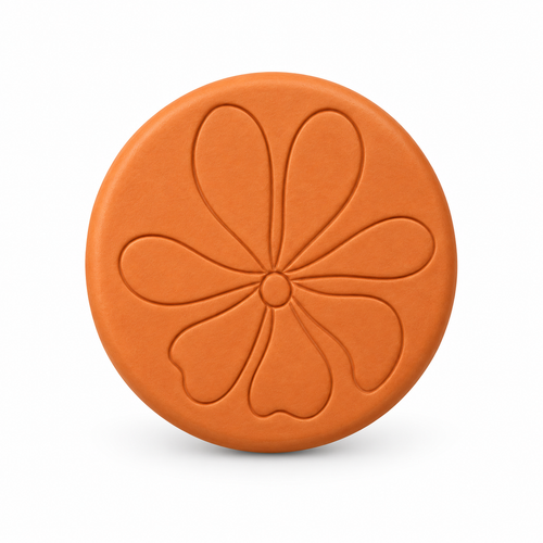 Bloom & Bliss – DIY Terracotta Fridge Magnet Kit