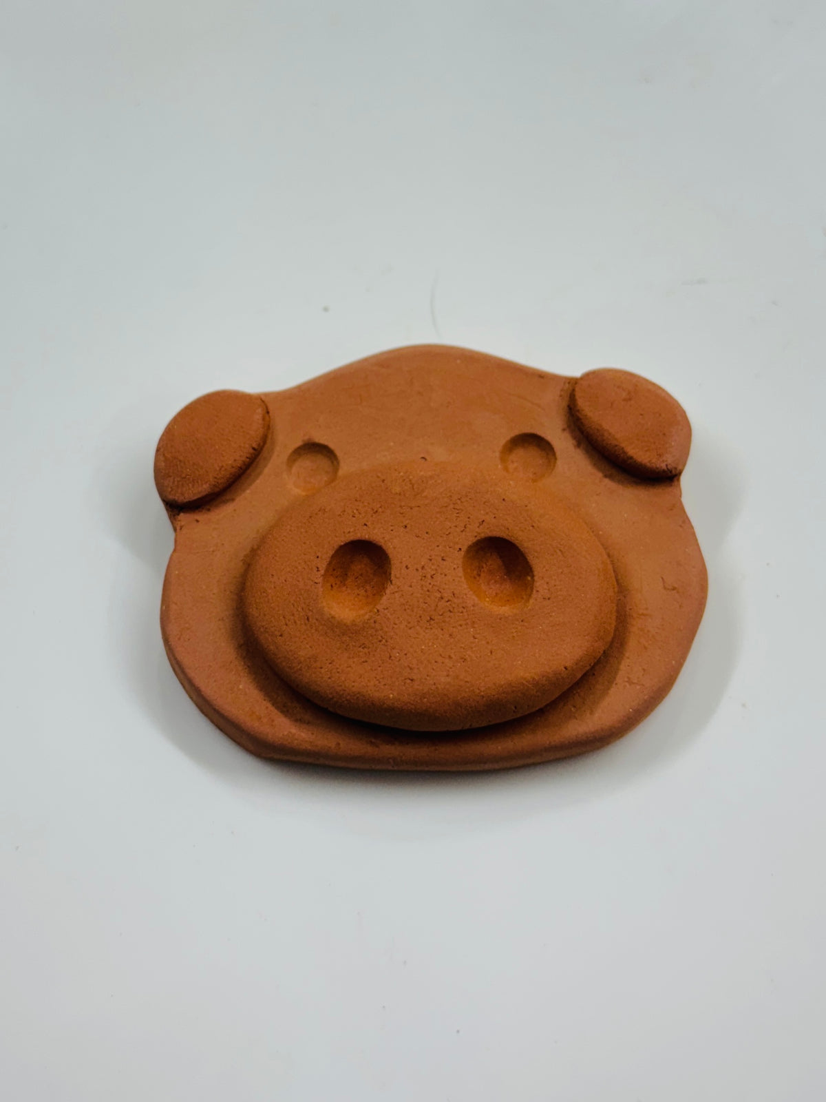 Nature Buddies – DIY Terracotta Fridge Magnet Kit.