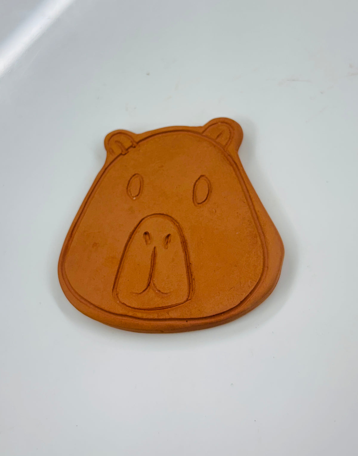 Nature Buddies – DIY Terracotta Fridge Magnet Kit.